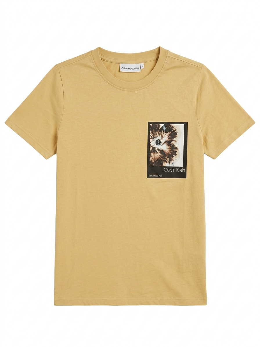 CALVIN KLEIN PRINTED T-SHIRT
