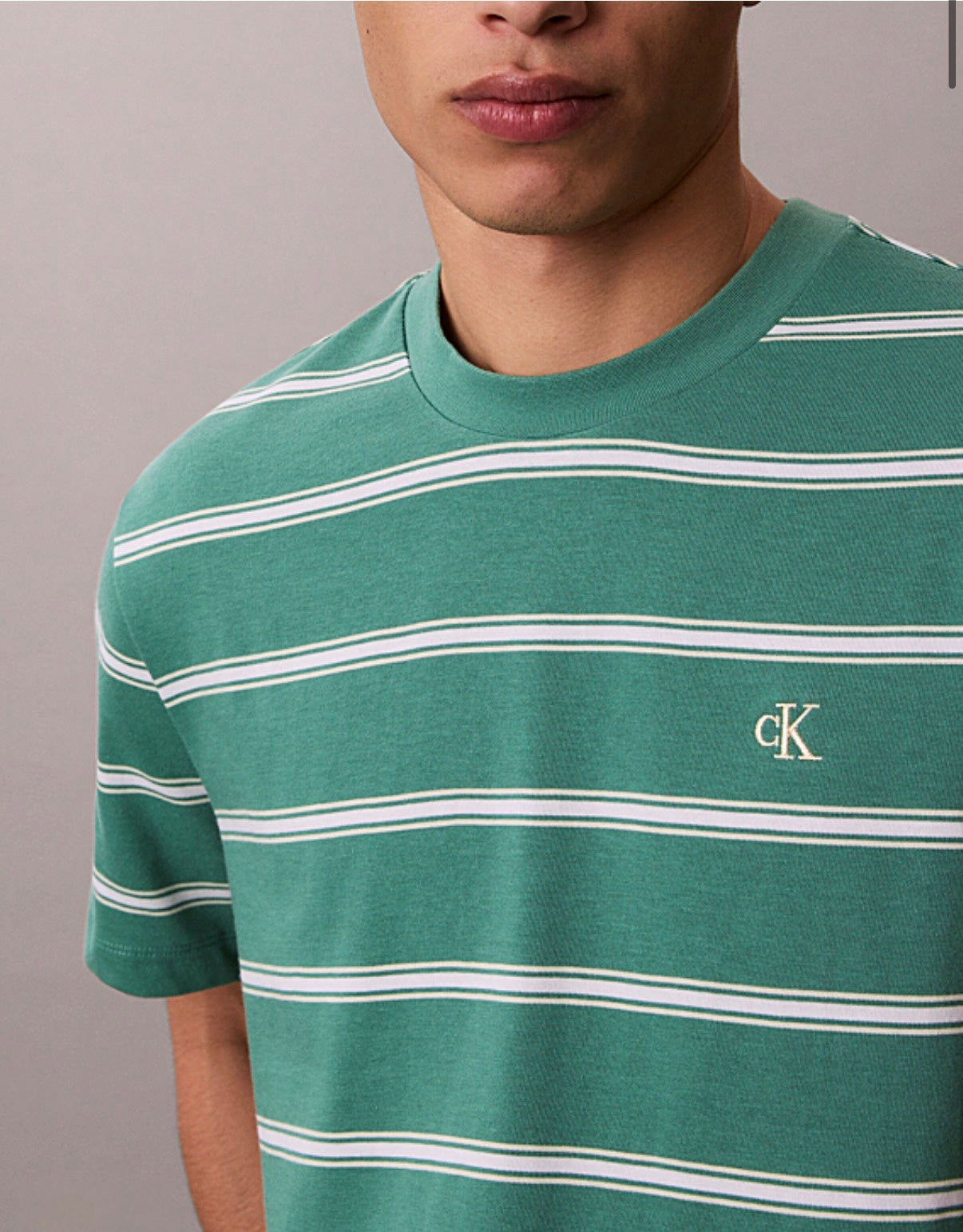 CALVIN KLEIN PRINTED T-SHIRT