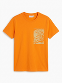 CALVIN KLEIN PRINTED T-SHIRT