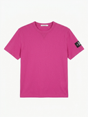 CALVIN KLEIN WITH LOGO SLEEVE T-SHIRT