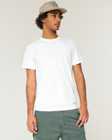 Hollister Icon Crew Basic T-shirt