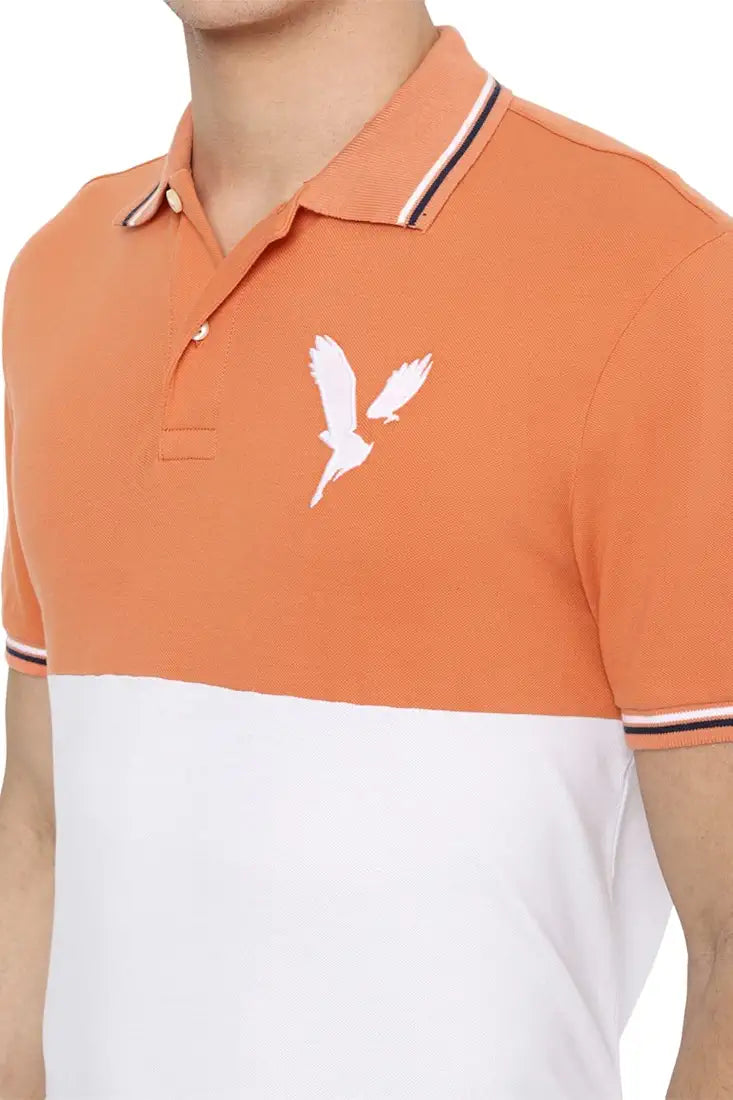 AE Colourblock Polo T-shirt