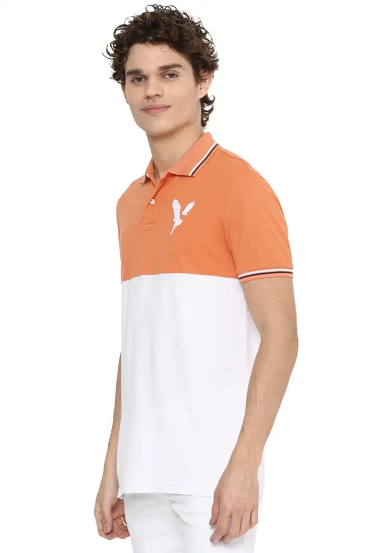 AE Colourblock Polo T-shirt