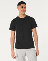 Hollister Icon Crew Basic T-shirt