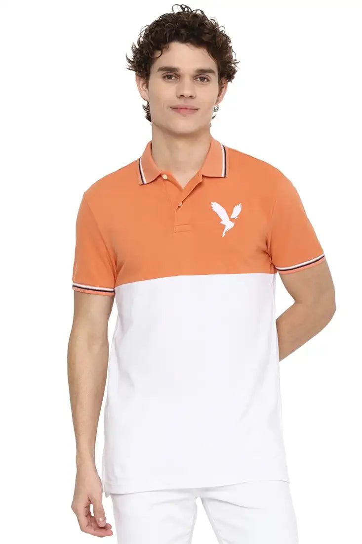 AE Colourblock Polo T-shirt