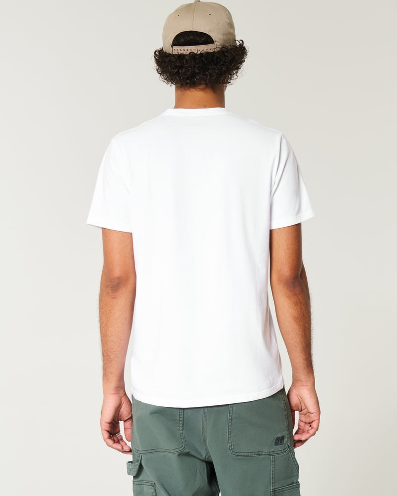 Hollister Icon Crew Basic T-shirt