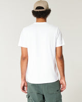 Hollister Icon Crew Basic T-shirt